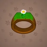 Signet Ring #6753
