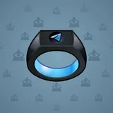 Signet Ring #6757