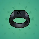 Signet Ring #6989