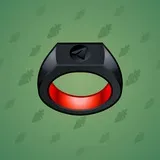 Signet Ring #712