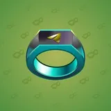 Signet Ring #7357