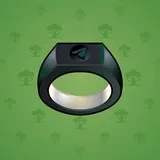 Signet Ring #7434