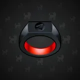 Signet Ring #7658