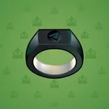 Signet Ring #7854