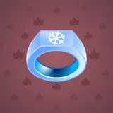 Signet Ring #7915