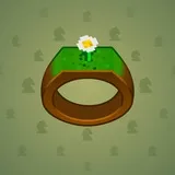 Signet Ring #8078