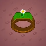 Signet Ring #8100