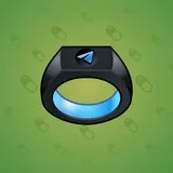 Signet Ring #8174