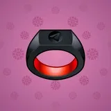 Signet Ring #845