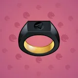 Signet Ring #863