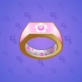Signet Ring #882