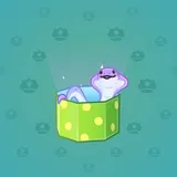 Snake Box #1210