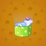 Snake Box #2466