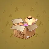 Snake Box #2543 Snake Box #2543