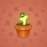 Snake Box #2580