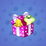 Snake Box #2730