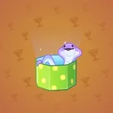 Snake Box #3253