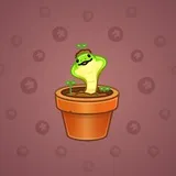 Snake Box #362
