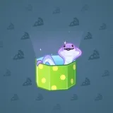 Snake Box #3765