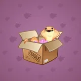 Snake Box #4540