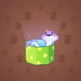 Snake Box #4656