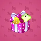 Snake Box #489