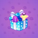 Snake Box #5594