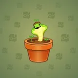 Snake Box #5957