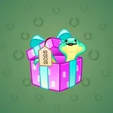Snake Box #6207