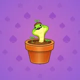 Snake Box #634