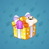 Snake Box #6419