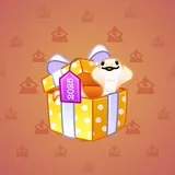 Snake Box #6426