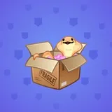 Snake Box #6438