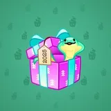 Snake Box #6482