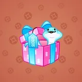 Snake Box #6498