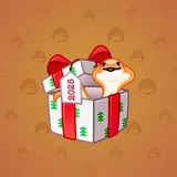 Snake Box #6907