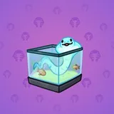 Snake Box #7423