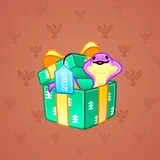 Snake Box #7513