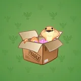 Snake Box #7839