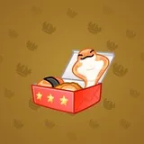 Snake Box #8416