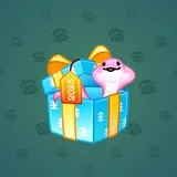 Snake Box #8475