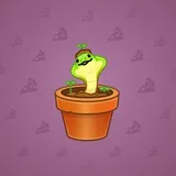 Snake Box #8494