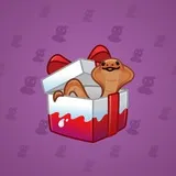 Snake Box #8639
