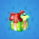 Snake Box #8657