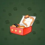Snake Box #8753