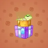 Snake Box #8889 Snake Box #8889