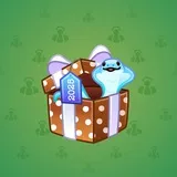 Snake Box #9209