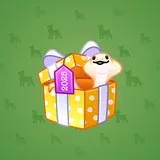 Snake Box #9503
