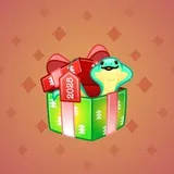 Snake Box #9769