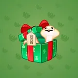 Snake Box #9860